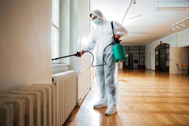 Reliable Mastic, NY Pest Control Solutions